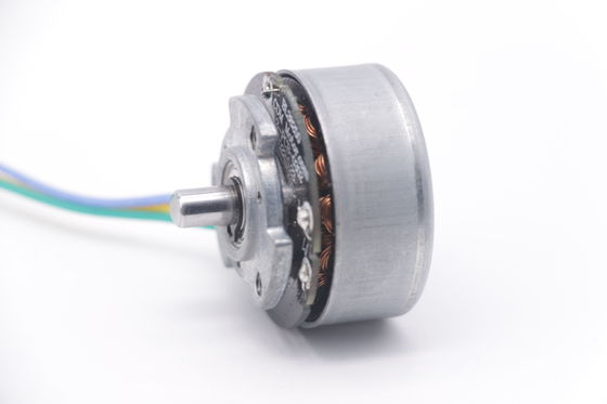DBL3825 12V 24V BLDC मोटर उच्च टोक़ फासिअल गन मिनी डीसी ब्रशलेस मोटर