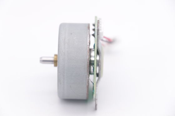DBL4220 40W - 120W मिनी ब्रशलेस डीसी मोटर हाई स्पीड हेयर ड्रायर फैन मोटर